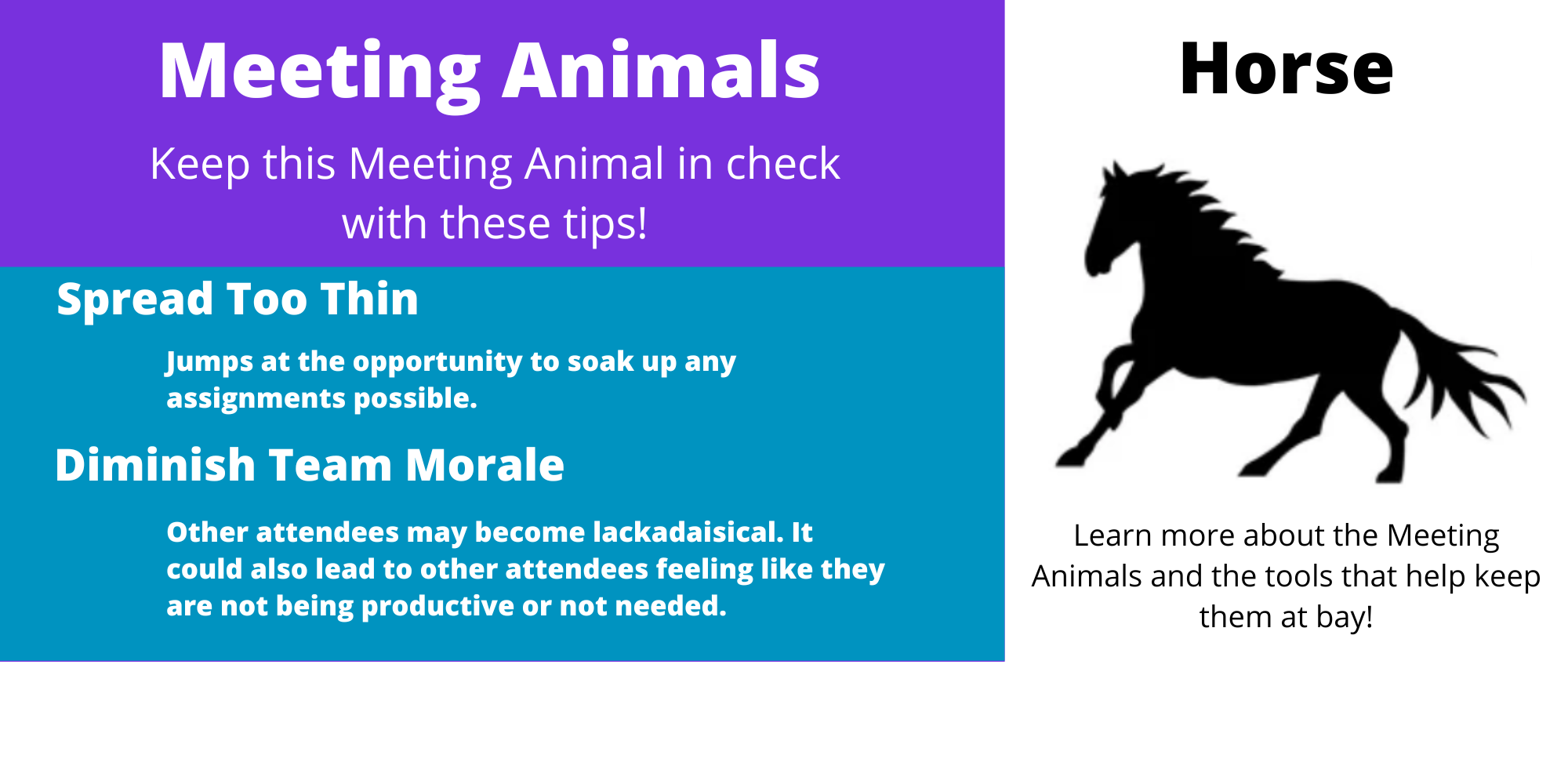 Horse - Meeting Animal - MeetingResult