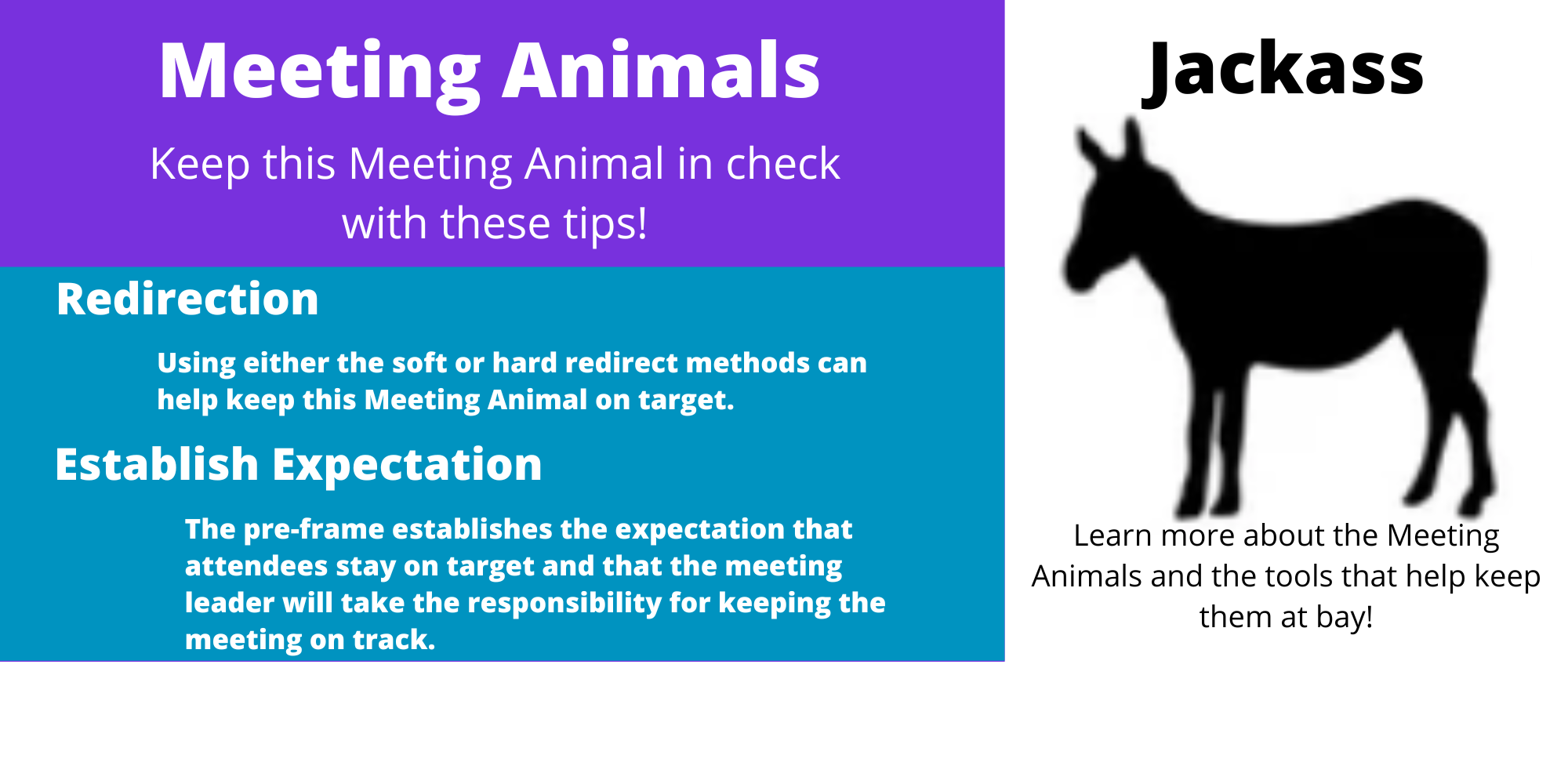 Jackass - Meeting Animal - MeetingResult